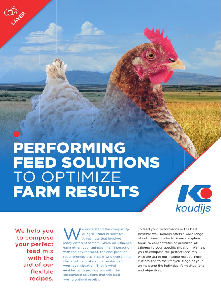 koudijs-leaflet-layer-en-pdf-farms-poultry