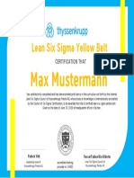 Lean Six Sigma Yellow Belt: Max Mustermann