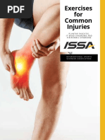 Exercises For Common Injuries: Plantar Fasciitis, It Band Syndrome and Piriformis Syndrome