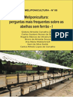 SÉRIE MELIPONICULTURA #08 Meliponicultura Perguntas Mais Frequentes Sobre As Abelhas Sem Ferrão