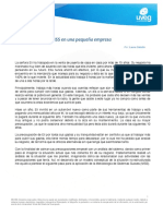 Ejemplo de la MSS en una pequeña empresa.pdf