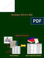 Struktur Data SIG