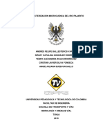 Informe Final Caracterizacion Cuenca Río Pajarito PDF