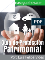 Guia Proteccion Patrimonial