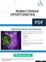 Enterobacterias Oportunistas