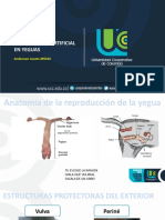 Biotecnologia Yegua