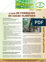 Poda de Formación en Cacao Injertado PDF