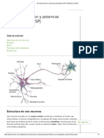 Neurotransmisión y Potencial Postsináptico (PSP) PDF