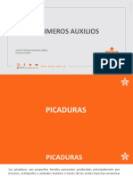 Picaduras PDF