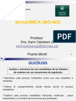 14 GLICÃ“LISIS Y FERMENTACIÃ“N (MOD) 24-09-2015 KO.pdf