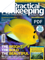 Practical Fishkeeping 2018-02 PDF