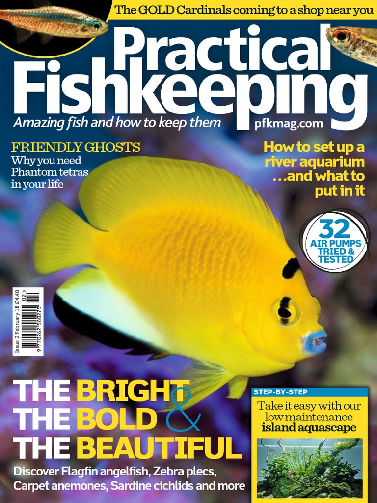 In The Trade: Stunning Blue-eye Panaques - AS Magazine