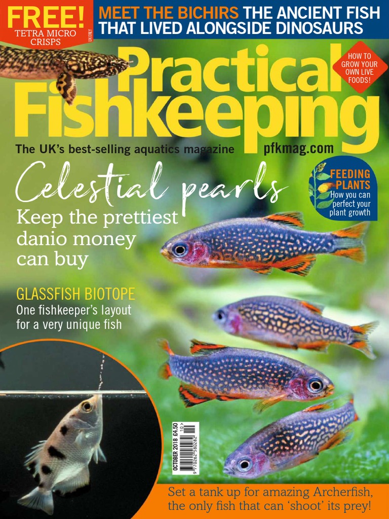 Practical Fishkeeping 2018-10 PDF, PDF, Amphibian