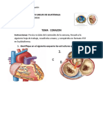 Hoja Trabajo Corazon