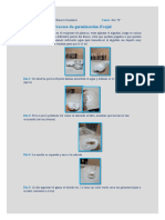 Proceso de Germinación