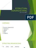 Estructura Ogranizacional - Carlos Rolon