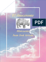 Rinoceronte Rossana Lopez