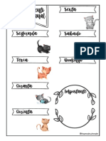 Planejamento semanal - gatinhos.pdf