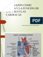 El Corazón Como Bomba y La Función de