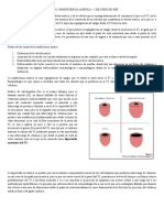 III Parcial. Tema 13. Insuficiencia Aortica