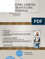 GRUPO_03_(Derechos profesionales)