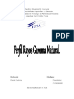 Perfil Rayos Gamma Natrural.