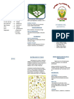 Modelo Triptico