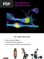 Introduction To Light Microscopy: (Image: T. Wittman, Scripps)