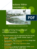 Interactions Within Ecosystems