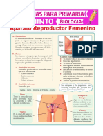 Aparato Reproductor Femenino para Quinto 2020 PDF
