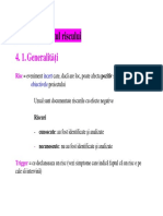 4managementul Riscurilor PDF