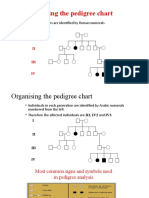 Organising pedigree charts
