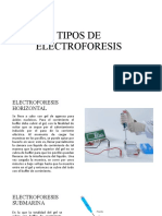 Tipos de Electroforesis