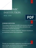 Economic Institution