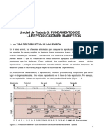 Ut 3 Fundamentos de La Reproduccion en Mamiferos PDF