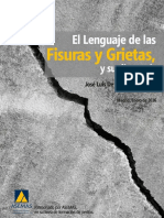 Informe Fisuras y Grietas Asemas