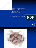 Cours N°4 Appareil Génital Féminin