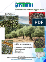 Raccolta Olive