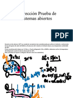 Corrección Prueba de sistemas abiertos