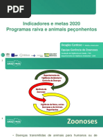 Indicadores e metas 2020 Programas raiva e animais peçonhentos.pdf