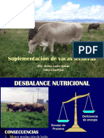 Suplementacion en Vacas