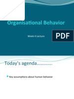 Organisational Behavior: Week 4 Lecture