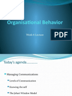 Organisational Behavior: Week 6 Lecture