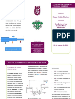 Pérdidas en Serie Rafael Muñiz Montero Final PDF