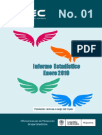 INFORME ESTADISTICO ENERO 2019.pdf