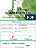 Indice Riesgo Municipal COVID19!29!07 2020 REPORT 13