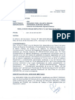 RESOLUCION MINAGRI MODELO DE DENUNCIA PEBLT.pdf