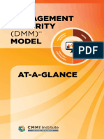 CMMI DMM-At-a-Glance.pdf