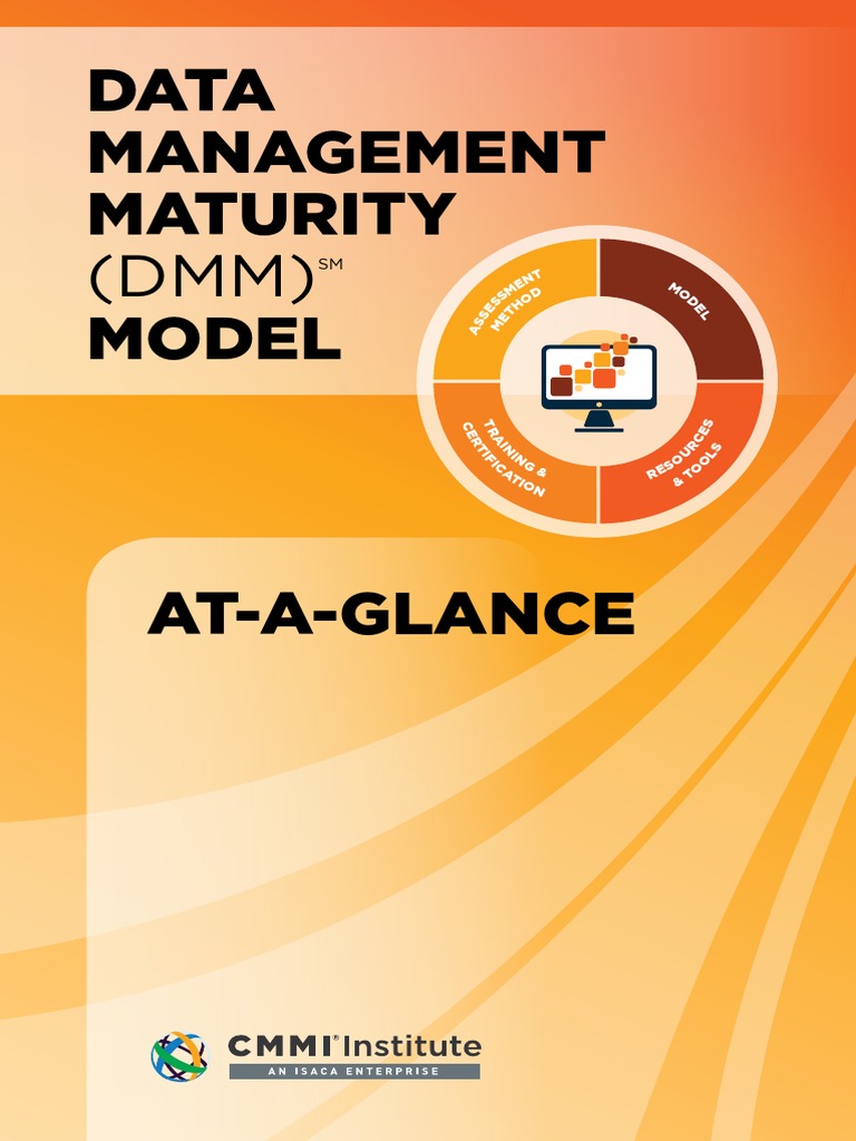 CMMI DMM-At-a-Glance PDF | PDF | Metadata | Data Quality