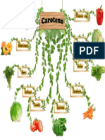 Caroteno PDF